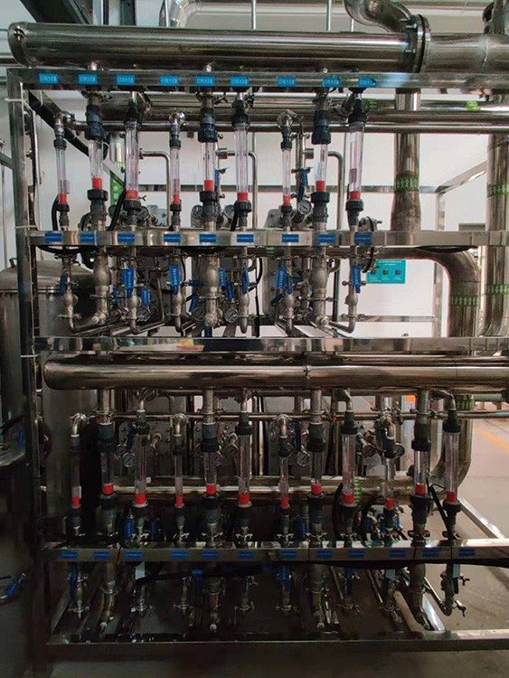 water dm plant 2