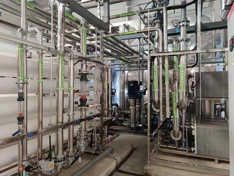 water dm plant 5